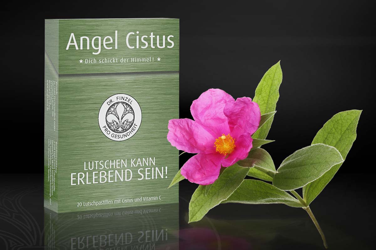 Angel Cistus Shop